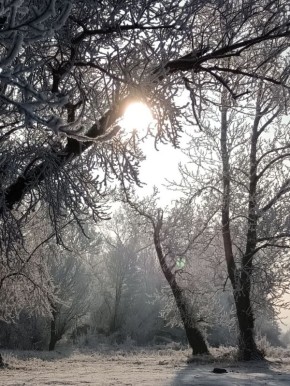 50 �������� ������ �� ������ ������