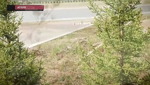 БРАТ ЗА БРАТОМ: РАЗИМ И МИСЛИМ АБАСОВЫ ЗАРАБОТАЛИ НЕПРИЯТНОСТИ С ЗАКОНОМ