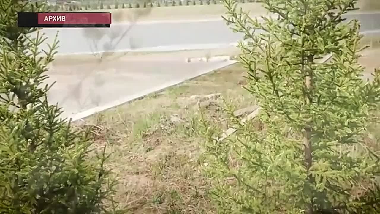 БРАТ ЗА БРАТОМ: РАЗИМ И МИСЛИМ АБАСОВЫ ЗАРАБОТАЛИ НЕПРИЯТНОСТИ С ЗАКОНОМ