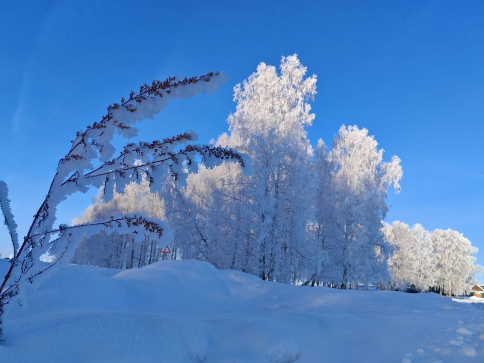 ������ ����!. ����: ��������� ���������� #���������������