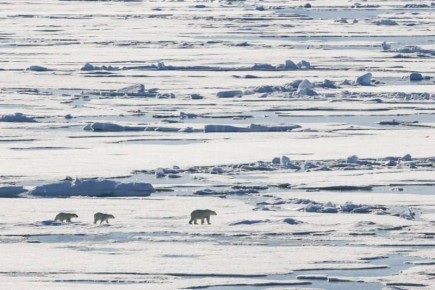 ����� ������� ����� �� ����� �� ���� �������, � ��� ����� �������, � ������� ����� �� ������ ������������� ����, �������� � �� ��� �� �������