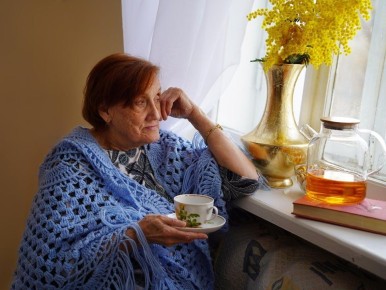 ���������� ����� 2026: ��� ������ ������������ ����������� �������