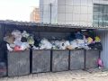 Прокуратура проверяет вывоз мусора во Владивостоке после жалоб жителей