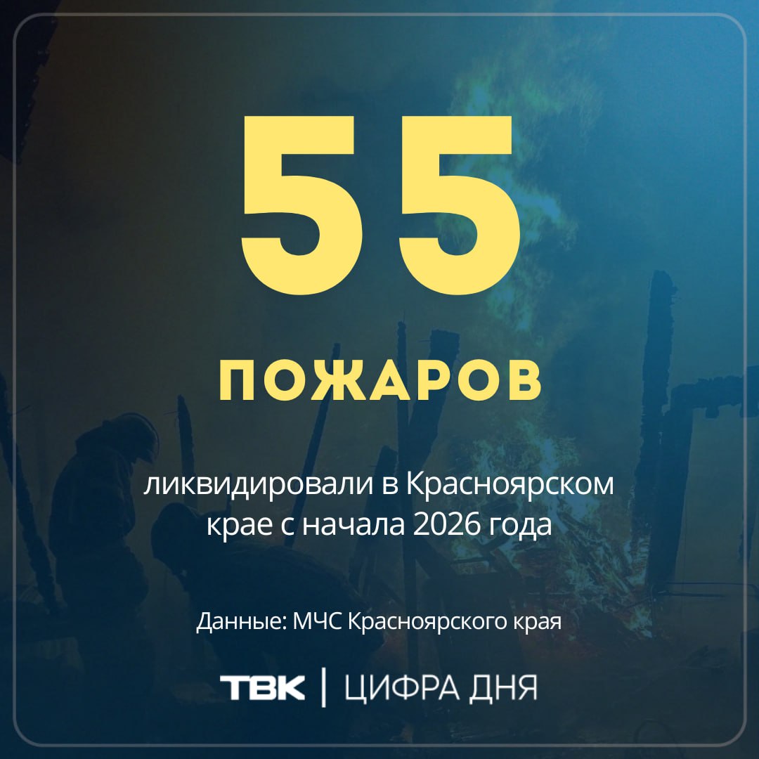 55 пожаров ликвидировали в Красноярском крае с начала 2026 года