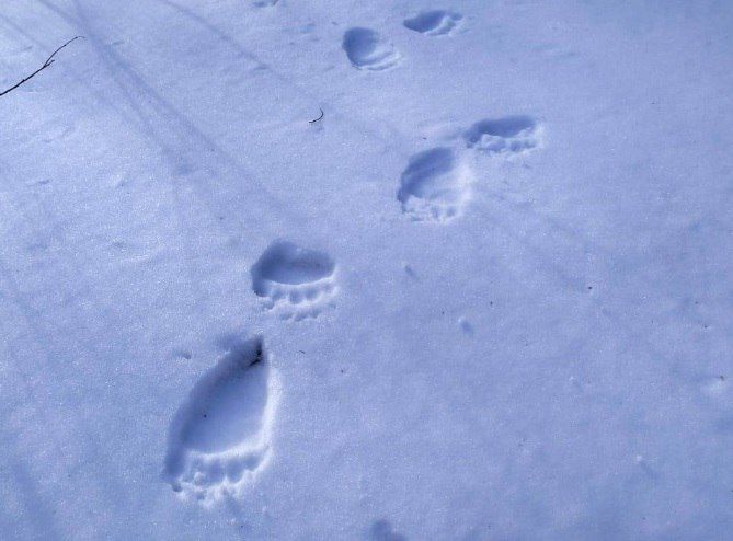 ����� ������� ����� �� ������� �� ������ ������������� ����