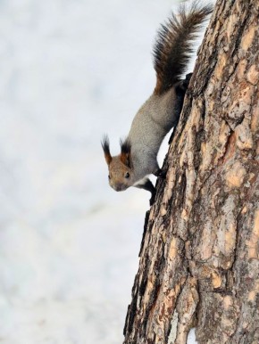 ������ ����!. ����: ������ ������� #���������������