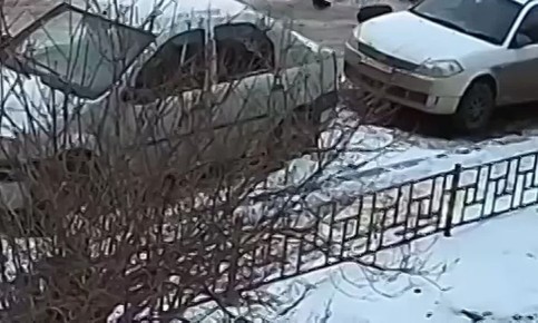 ����������� ���� ����������� ������ �����