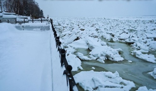 �������� ���������� �����������