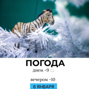 ������ �� �������. @gornovosti