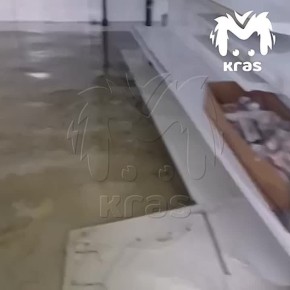 �������� � ��������� ���� ���������� �� ������������ �������