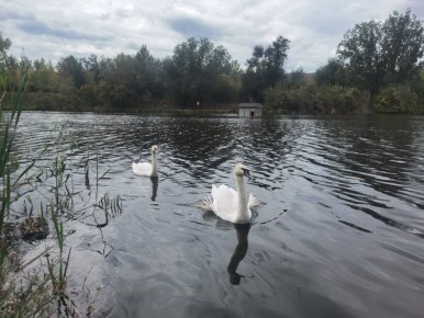 ���� ������� ������� ������� ���� �������堗 ����� �������� ������� ����� �������� ��������