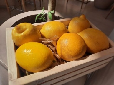 ��� �������� ��������� ������: ��������, ������� �� �������� � �������