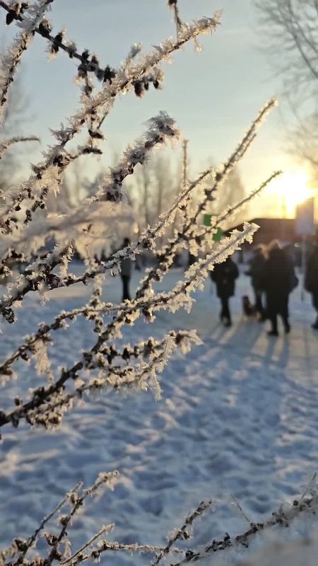 ������ �� 8 ������. ���