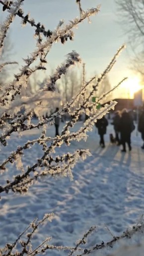 ������ �� 8 ������. ���