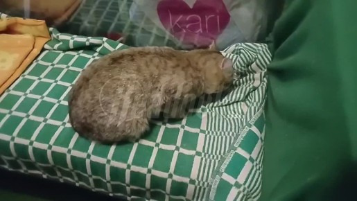 ���� � ���������: ��� ����� ������ � ����� � ���� ����� ����������