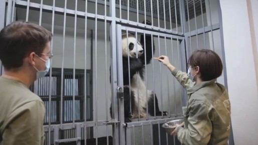 ����� ������ �� ����������� �������� �������� ���� �������� ���������� �� ������������ ��������