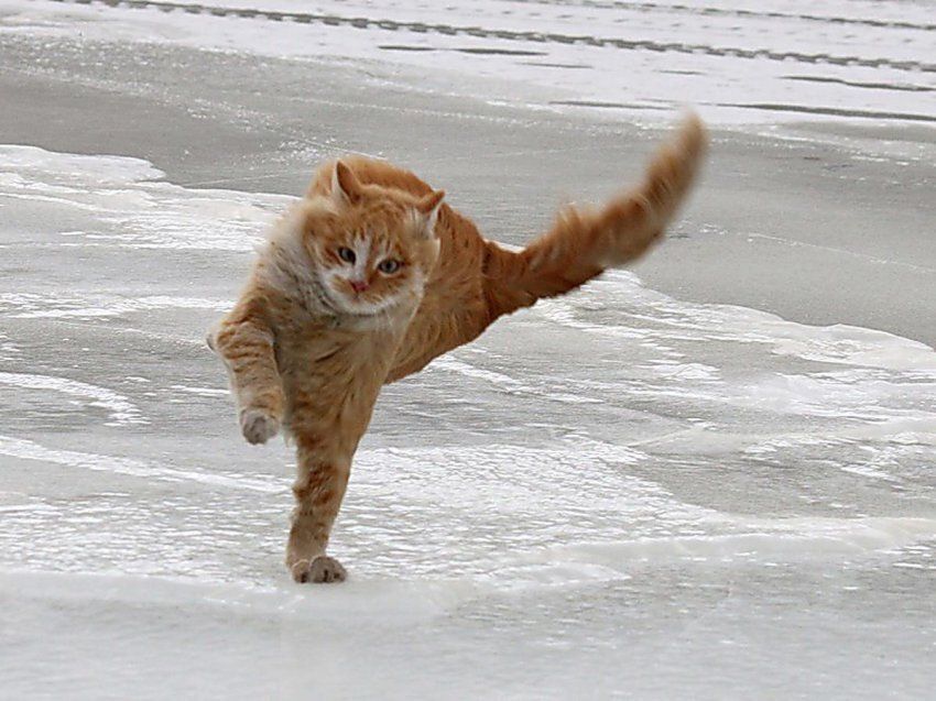 ����� �� 25 ������ � �������