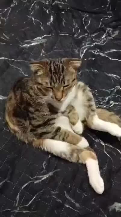 ������ ����. ���