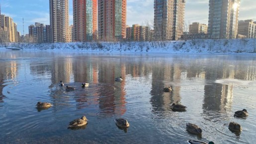 Доброе утро!. #ВестиКрасноярск