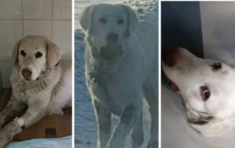 ������������ ��������� ������ ������ � ���������� ������ � �����