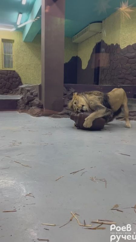 ��������� ������, � �������� ������������!