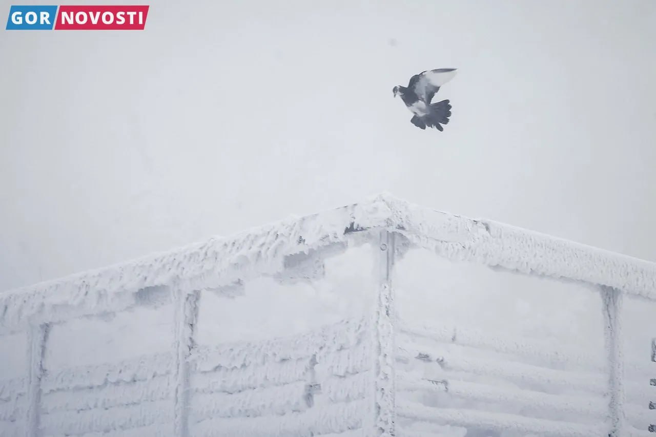 В центральные районы Красноярского края идет похолодание