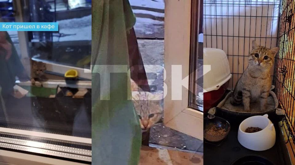 ��� ������ � ����������� � �������������� ���������