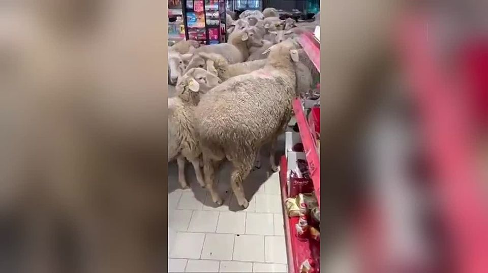 � �������� � ���������� ��������� ������� ���������