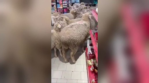 � �������� � ���������� ��������� ������� ���������