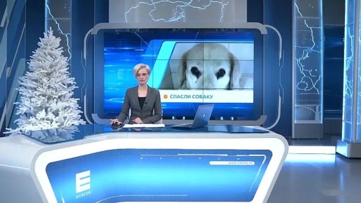 ���������� ������ ������, ��������� ���� ��������� �� ������ � ������ � �����