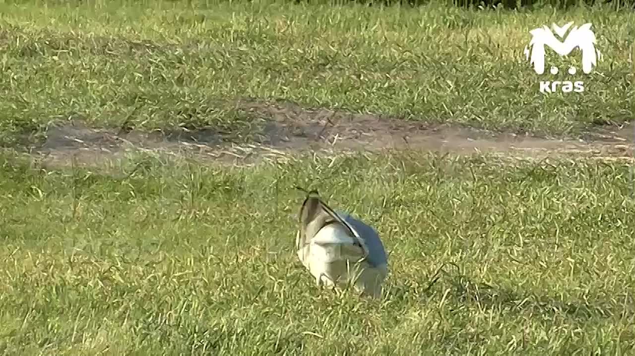 Пожалуй, самая весёлая номинация в наших итогах года