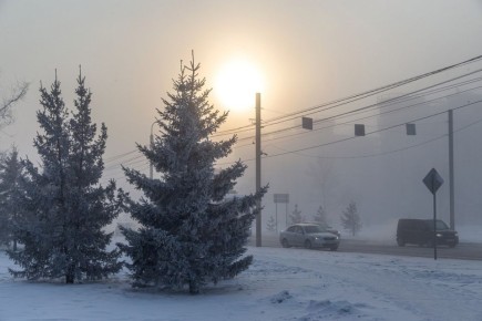 ������� ������������� ���� ������������ � ������� ����� � ������