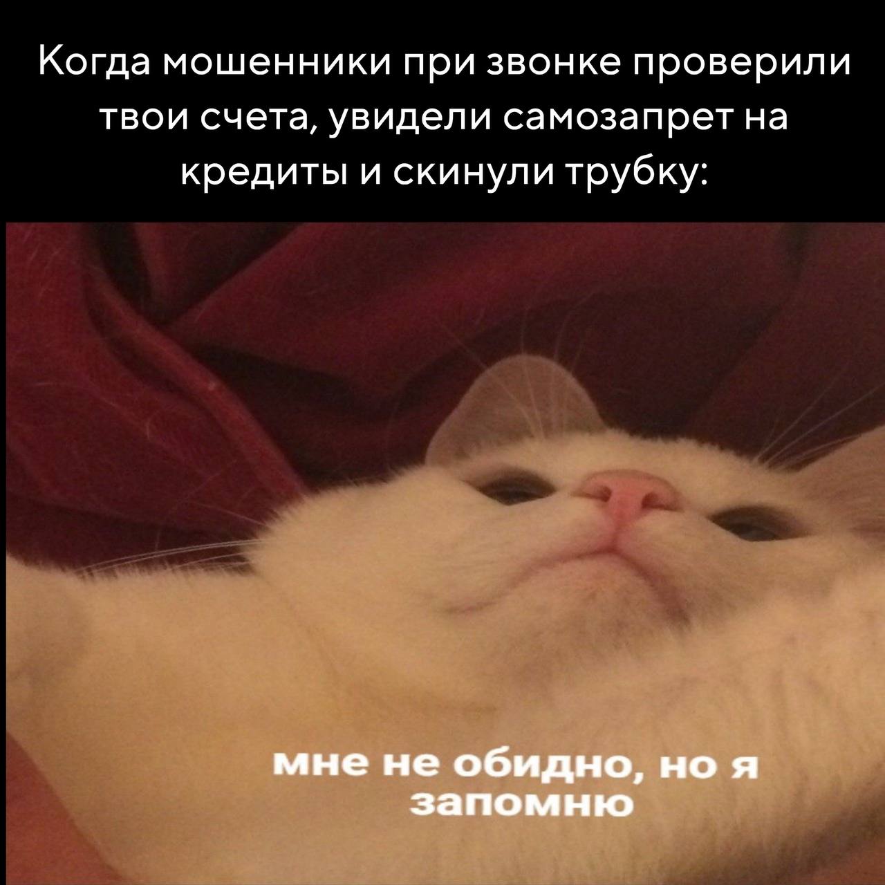 Праздники уже прошли, а выходные всё не заканчиваются – отличный расклад, правда