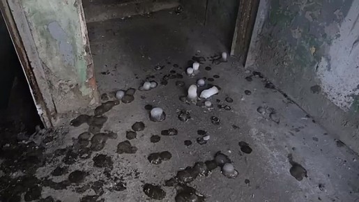 ������� ����� � ��������������� ����