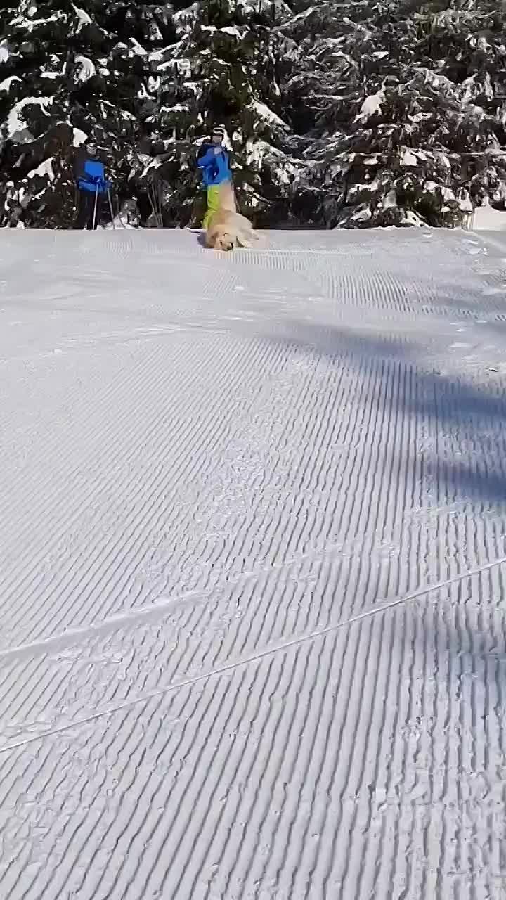 Любите горки?. О правилах безопасности при катании напоминают в МЧС: «Не разрешай ребенку кататься на стихийных горках; С малышом до 3 лет избегай оживленных горок, где обычно катаются школьники; После спуска сразу же покинь...