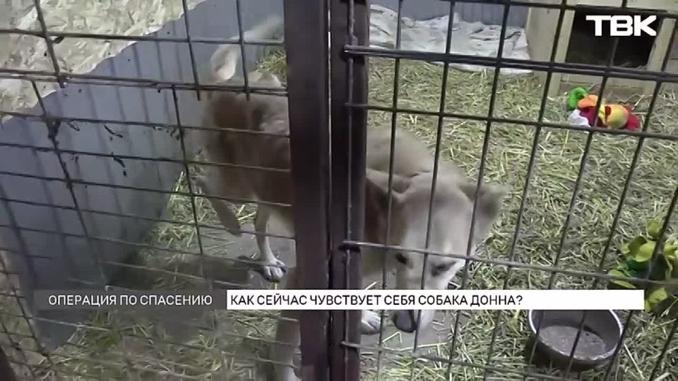 ��� ����� �� �������� ������ ����� ������: ��� ����� ������������ ������ �����, �� ����� ������� �������� ���������� �����