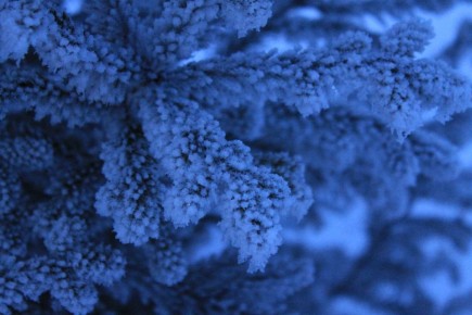 ������� ������� ������������� � 50-��������� �������