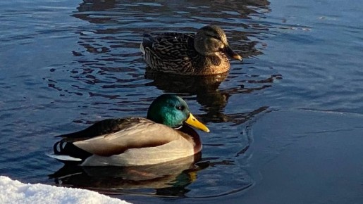 ������ ����!. #���������������