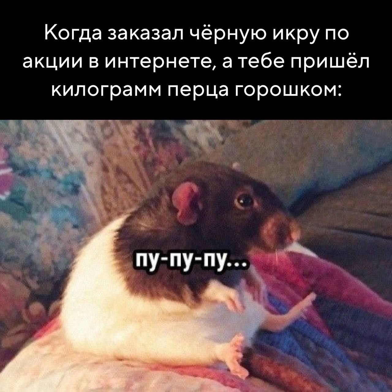 Праздники уже прошли, а выходные всё не заканчиваются – отличный расклад, правда Праздники уже прошли, а выходные всё не заканчиваются – отличный расклад, правда