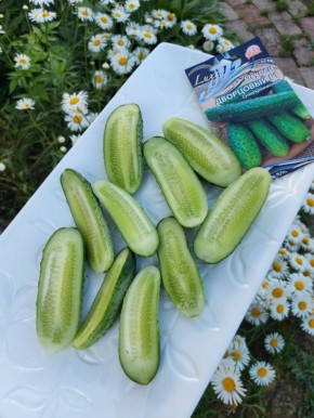 ������ ������ '���������' ���� �������� ��������: ������� � �����������