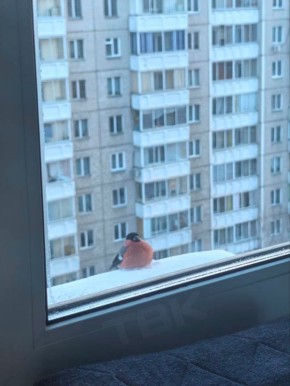 �������� � �����. ���