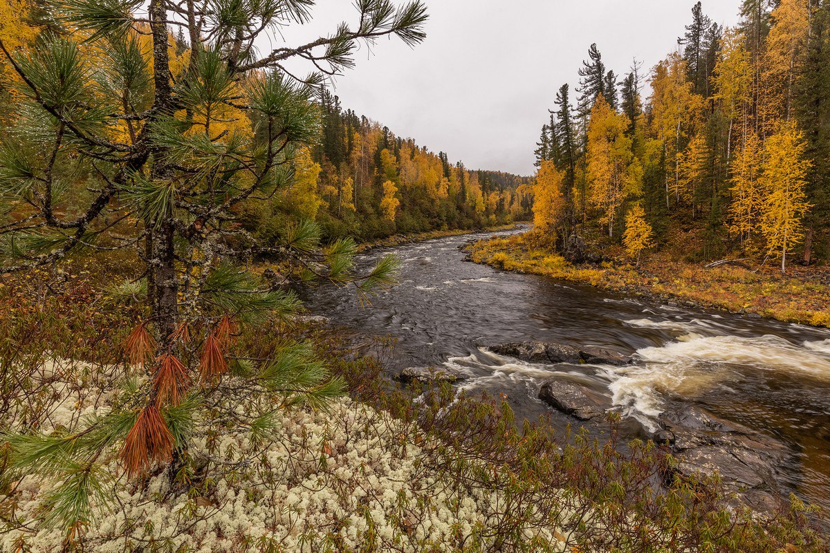 Какая сумасшедшая красота… Эти фото сделаны в Центральносибирском государственном природном биосферном заповеднике, которому исполнился 41 год Какая сумасшедшая красота… Эти фото сделаны в Центральносибирском государственном природном биосферном заповеднике, которому исполнился 41 год