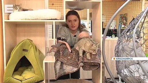 �������� ��� ��� ������ �� ������� � ����� � ����� ���������