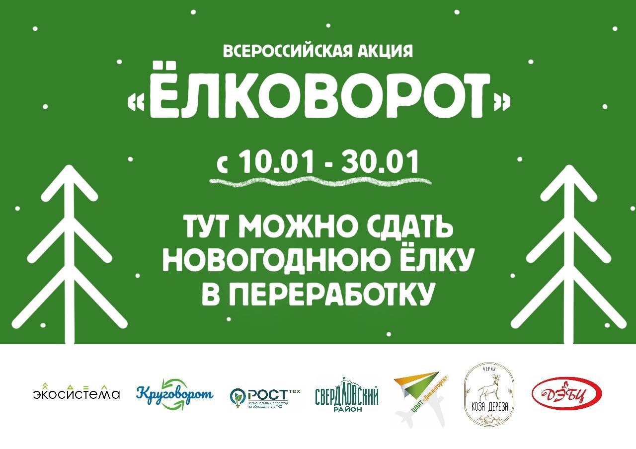 В Красноярске с января начнёт работу всероссийская акция по приёму живых новогодних ёлок для дальнейшей экологичной переработки «ЁлкоВорот»
