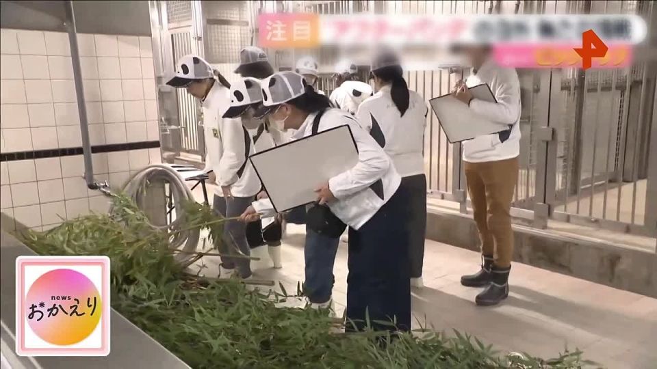 ����� ���� ��� ����� ������ �� ������ ���� �� ����� ����������� Adventure World � ���������� ������� (������), ���������� �������� ������ ������������ �������� ���������� � ������� ��������