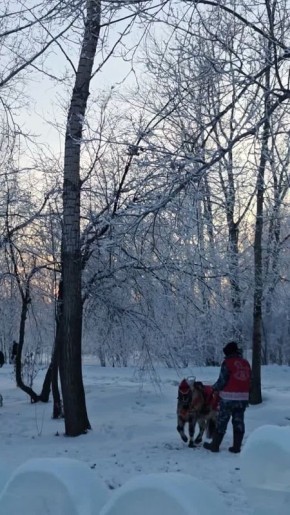 ��� ������� ����� ����� ����������