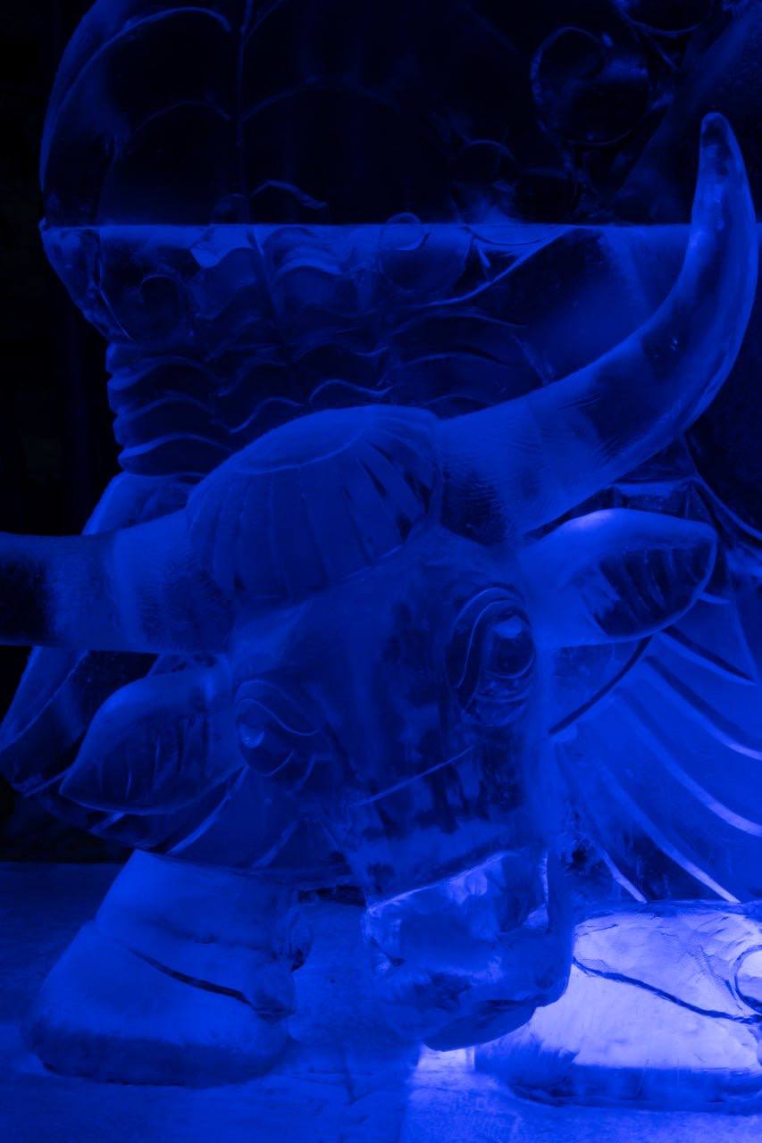 Только посмотрите! Ледовые и снежные фигуры уже поселились на Театральной площади и Центральной набережной Только посмотрите! Ледовые и снежные фигуры уже поселились на Театральной площади и Центральной набережной