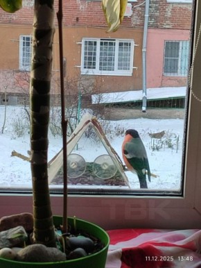 � �� ������ ���� ����� ������� �����