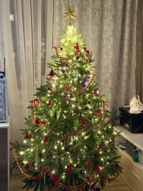 Новогодние каникулы закончились, но убирать ёлки ещё рано