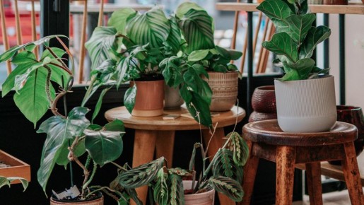 ������� �� ����������� ����� �� ��������� �������: ���������� � �������